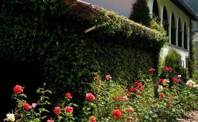 Spanish Villa Inn St. Helena Luaran gambar