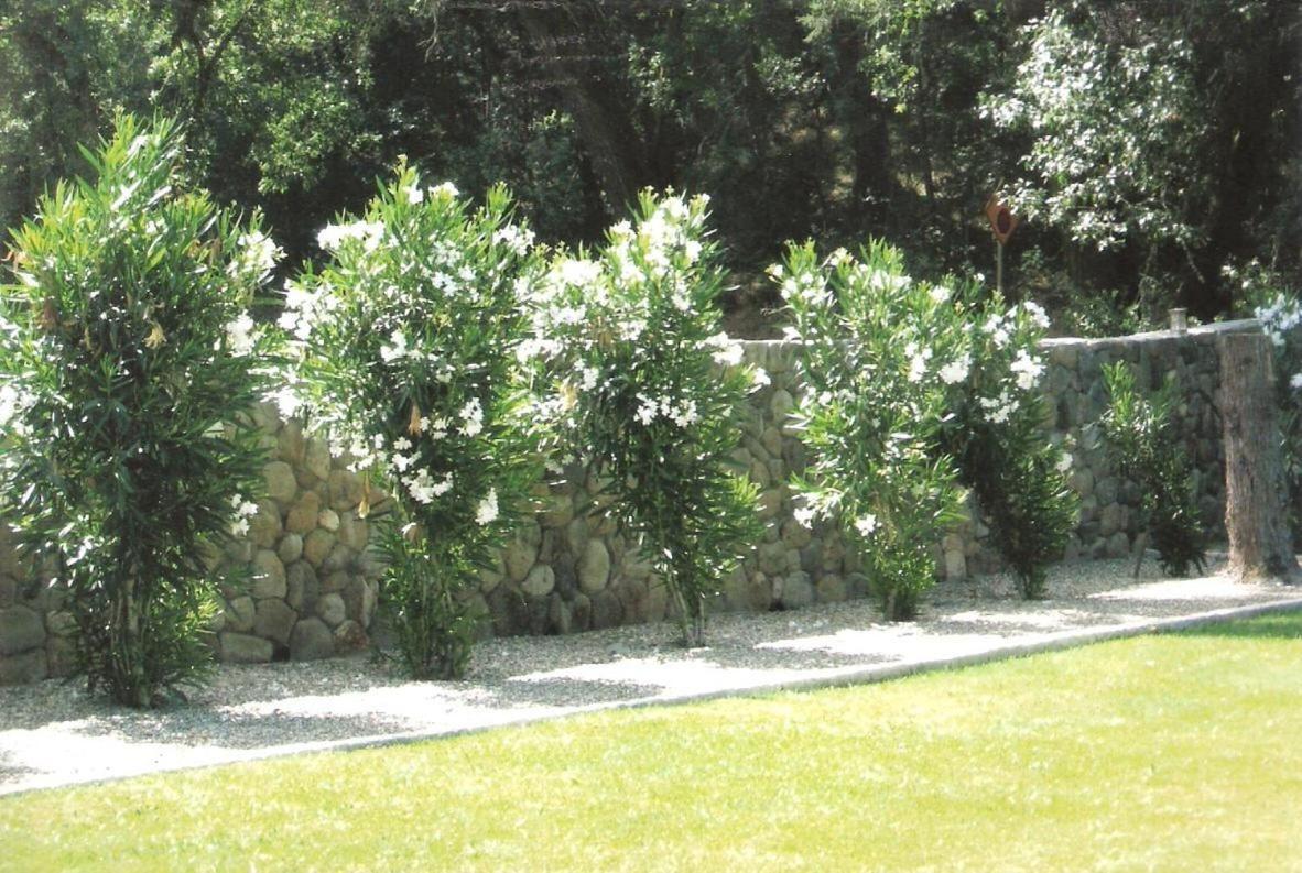 Spanish Villa Inn St. Helena Luaran gambar